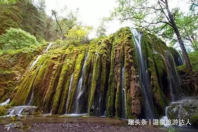 绿意盎然
